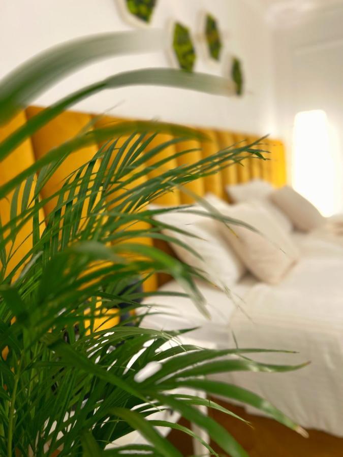Studio 118 - A Luxury Place,10Min Walk To City Center Timişoara Exterior foto
